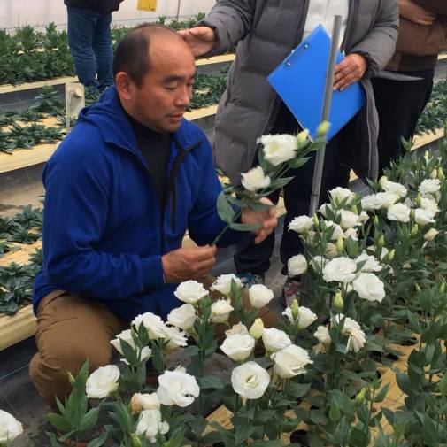 80261774_10158032271319736_2848538712910856192_n