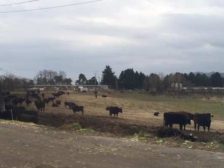 80597643_10158032271219736_3419598561019428864_n